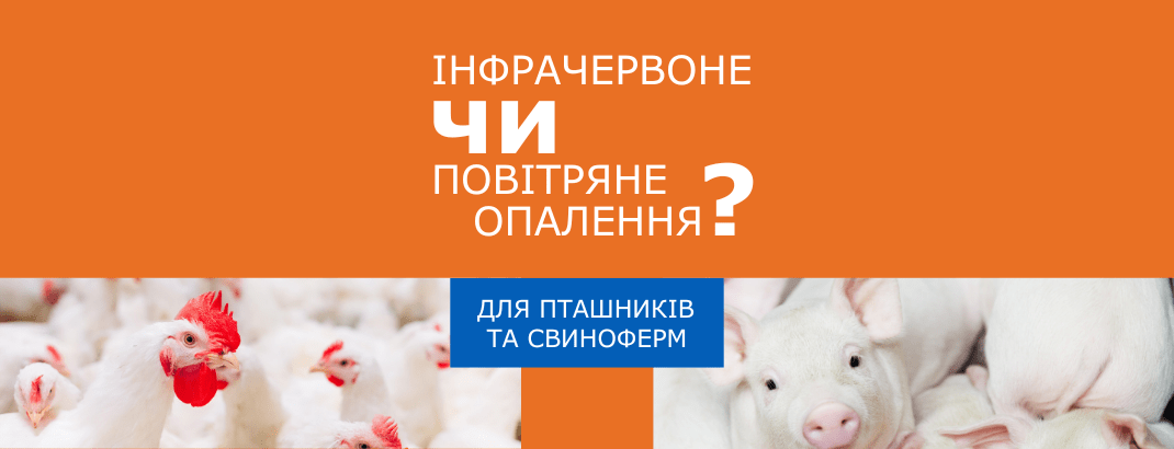 Інфрачервоне чи повітряне опалення для пташника або свинарника