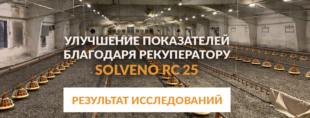 Как рекуператор Solveno RC-25 влияет на микроклимат и на показатели в курятнике - результаты исследований